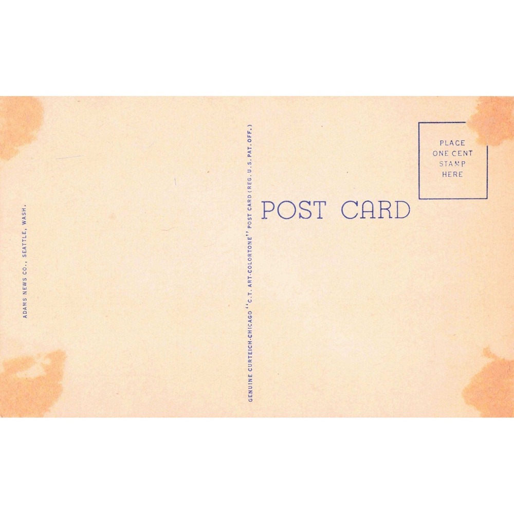 Vintage Through the Evergreens Washington State Highway Linen Postcard 1937 - Picture 2 of 2